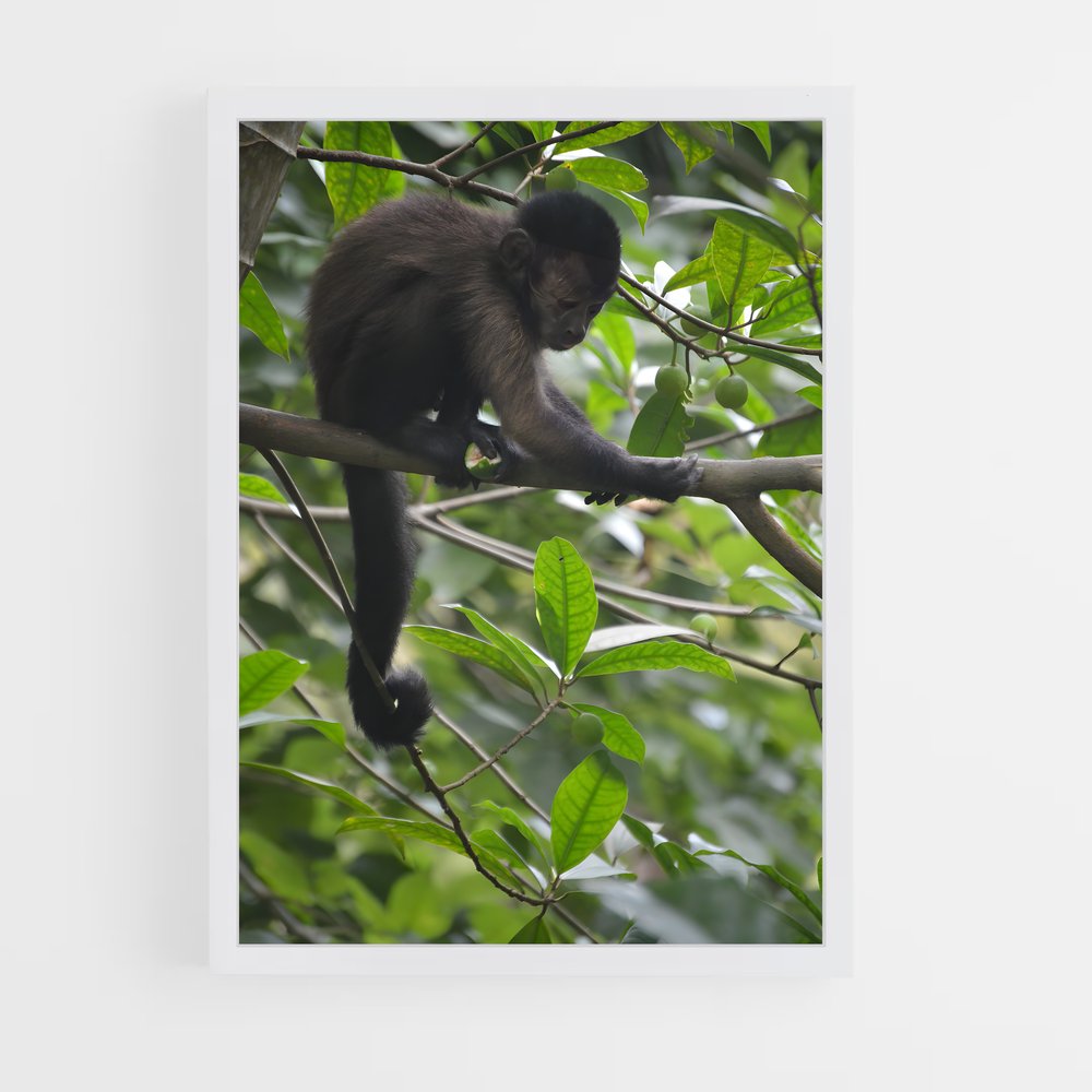 ap-tresor nature reserve-1 cadre Blanc