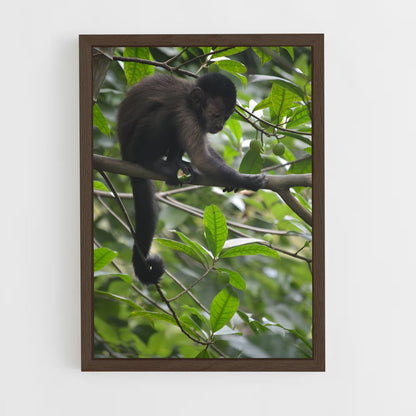 ap-tresor nature reserve-1 cadre Bois foncé