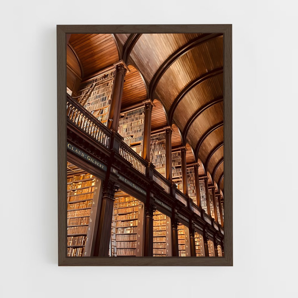ap-trinity college dublin-1 cadre Bois foncé