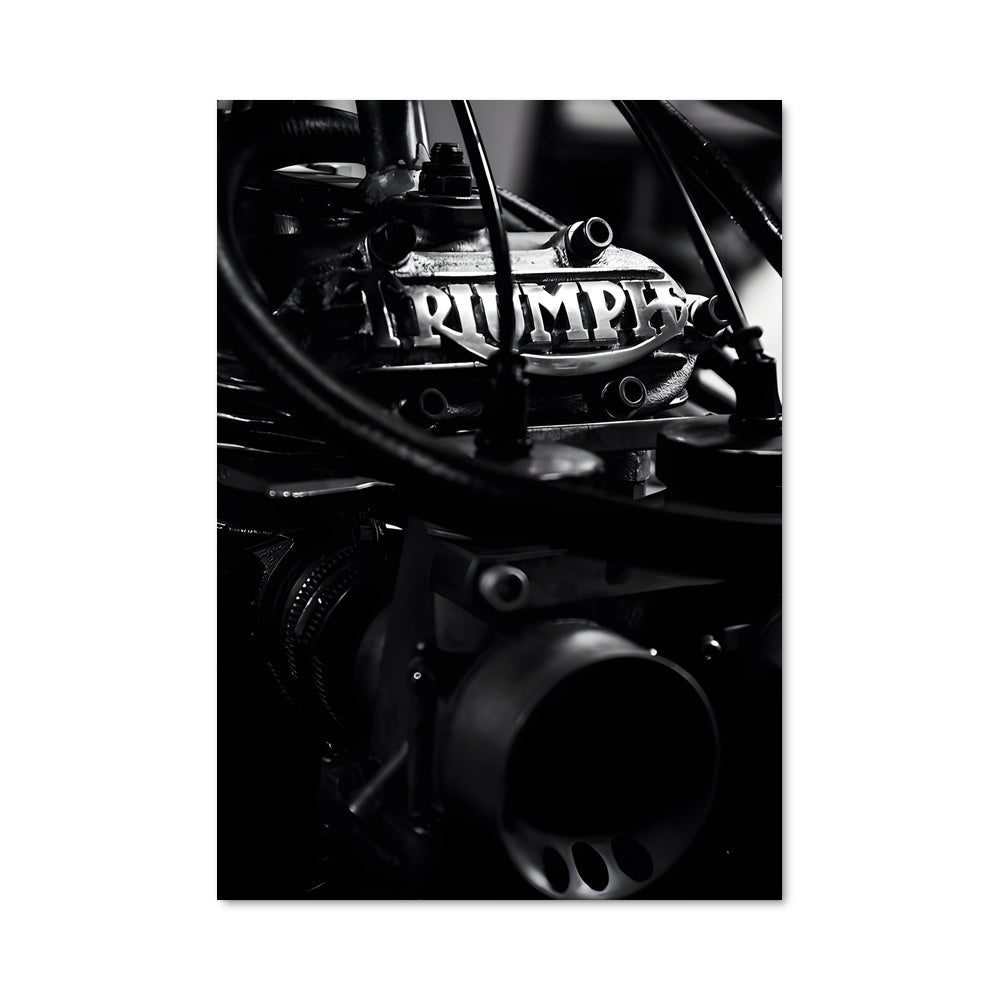 Poster Triumph 82778