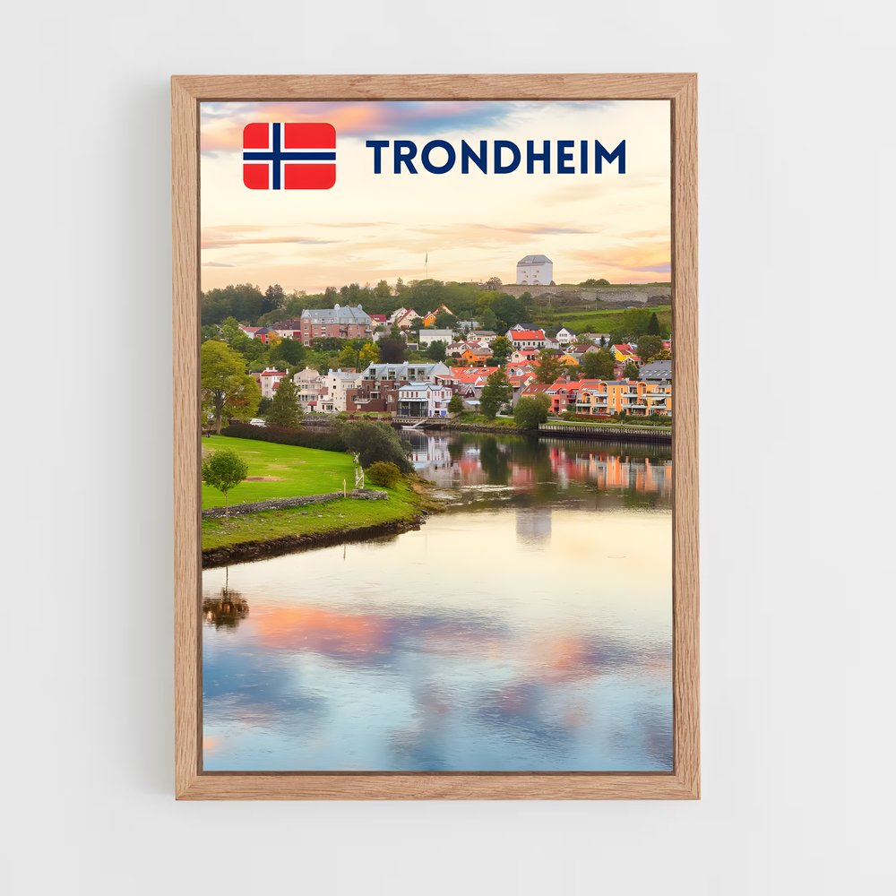 ap-trondheim-3 cadre Bois clair