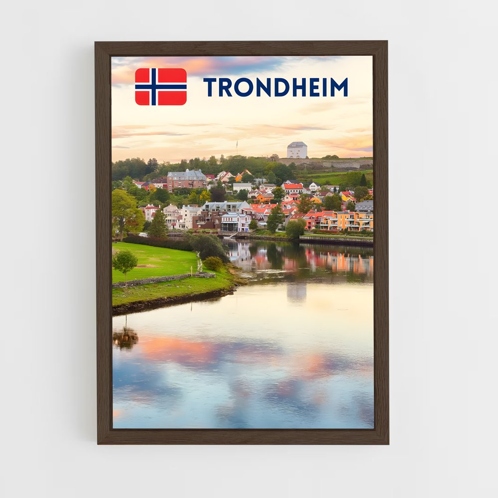ap-trondheim-3 cadre Bois foncé