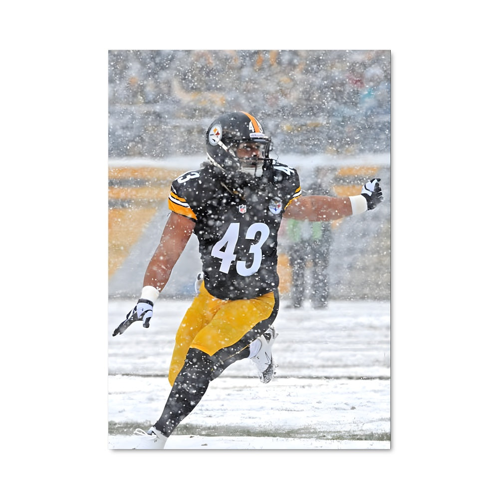 Poster Troy's Tackle