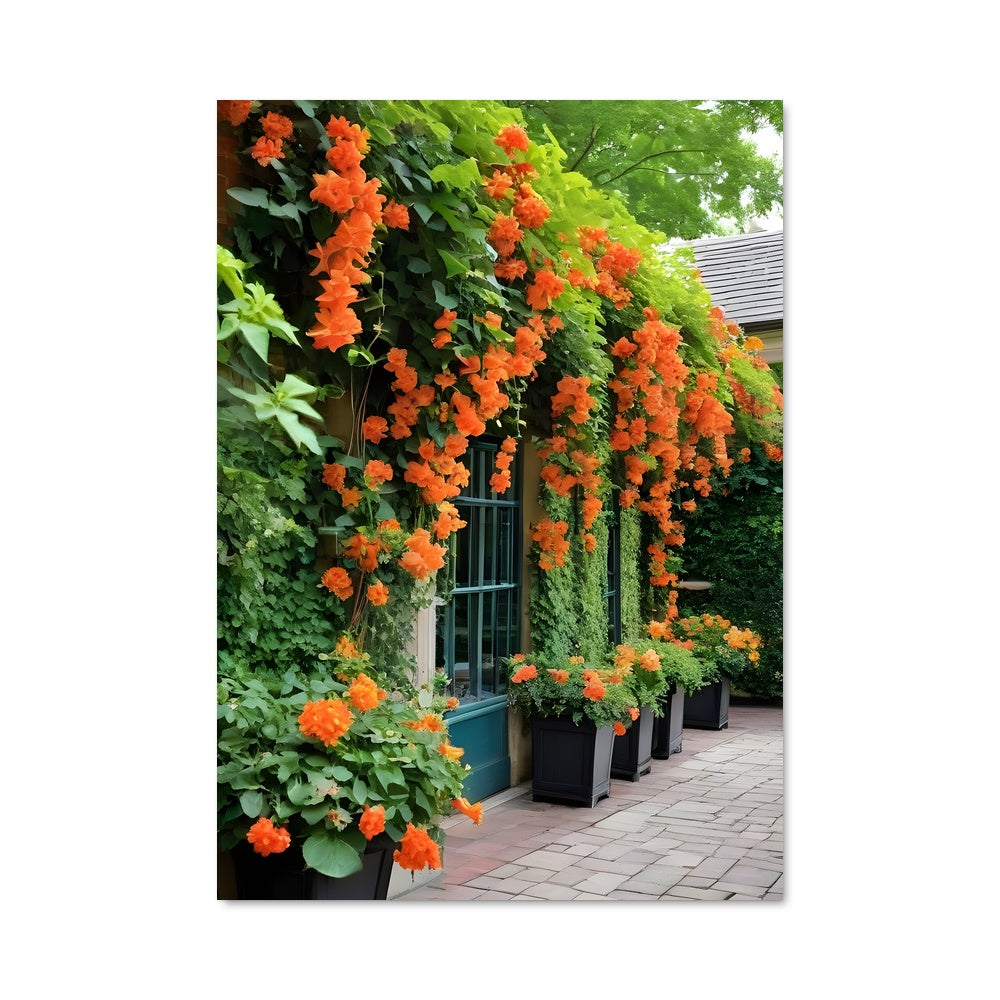 Poster Trumpet vine 97083