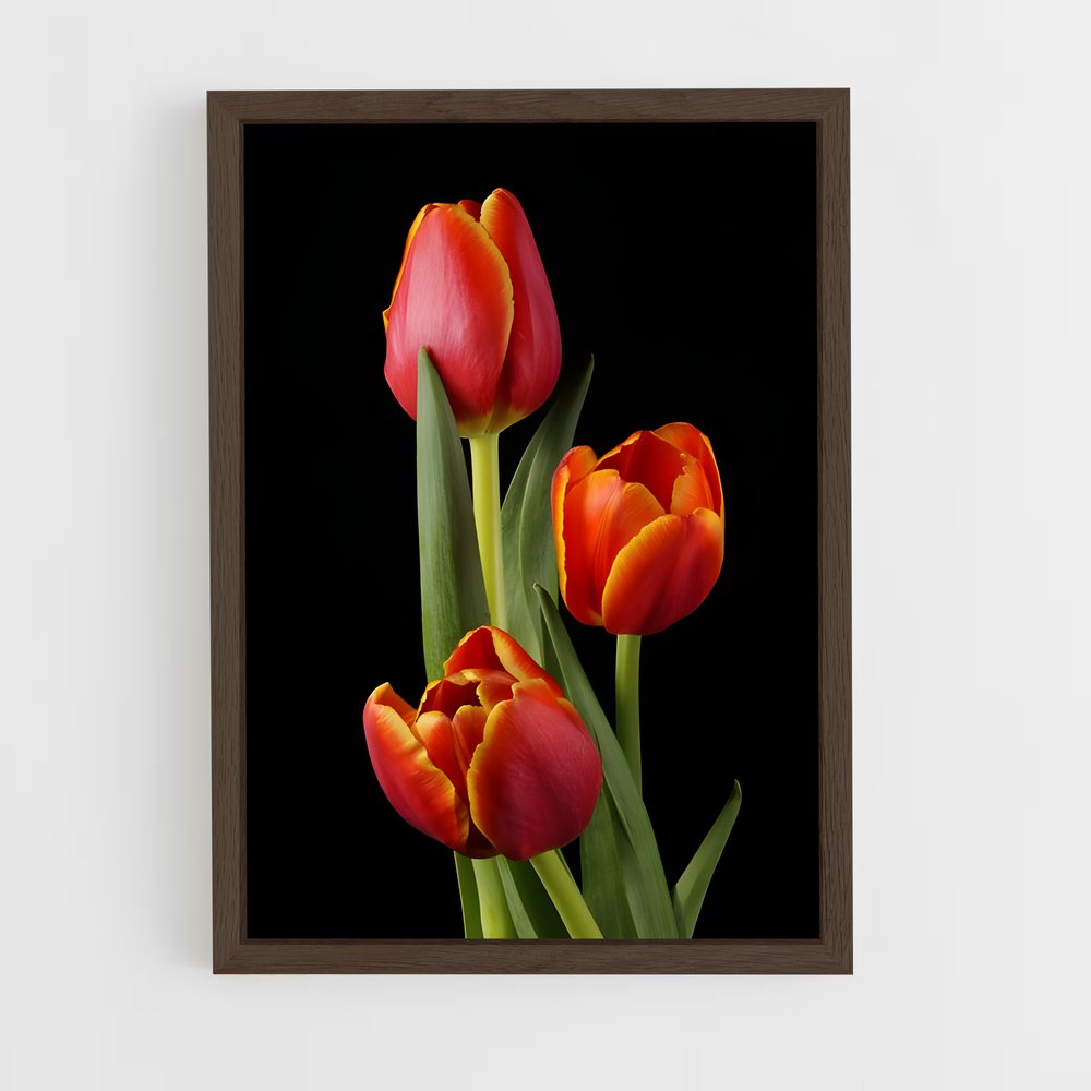ap-tulip-9 cadre Bois foncé