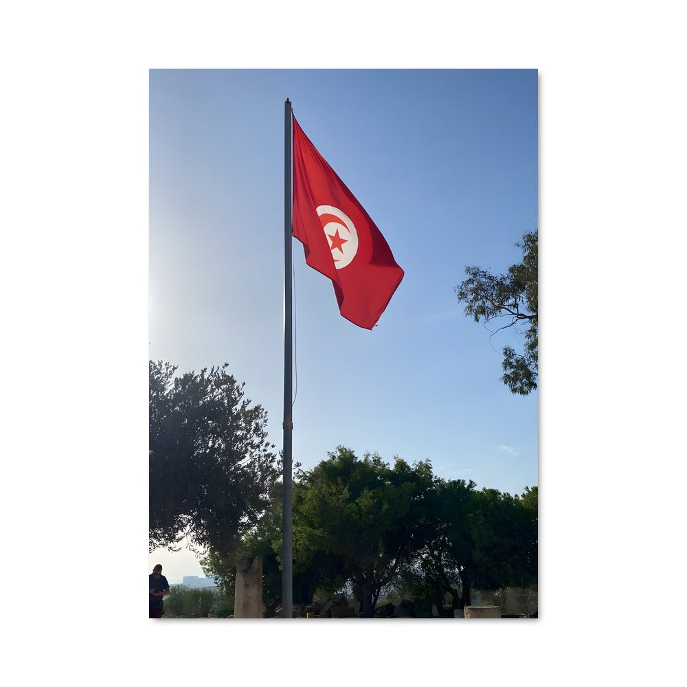 Poster Drapeau de la Tunisie