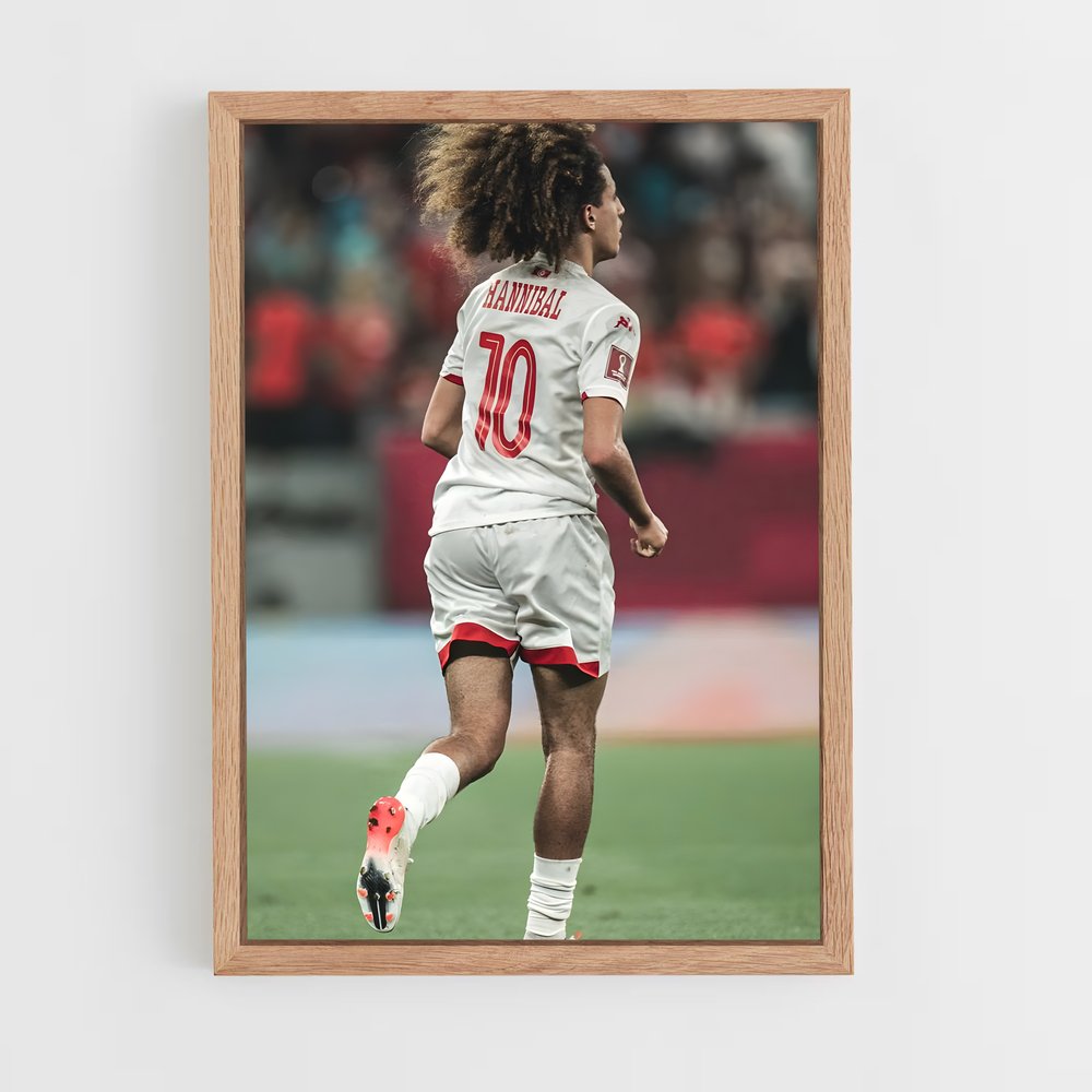 ap-tunisia national football team-6 cadre Bois clair