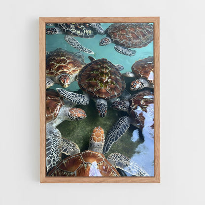 ap-turtle-8 cadre Bois clair