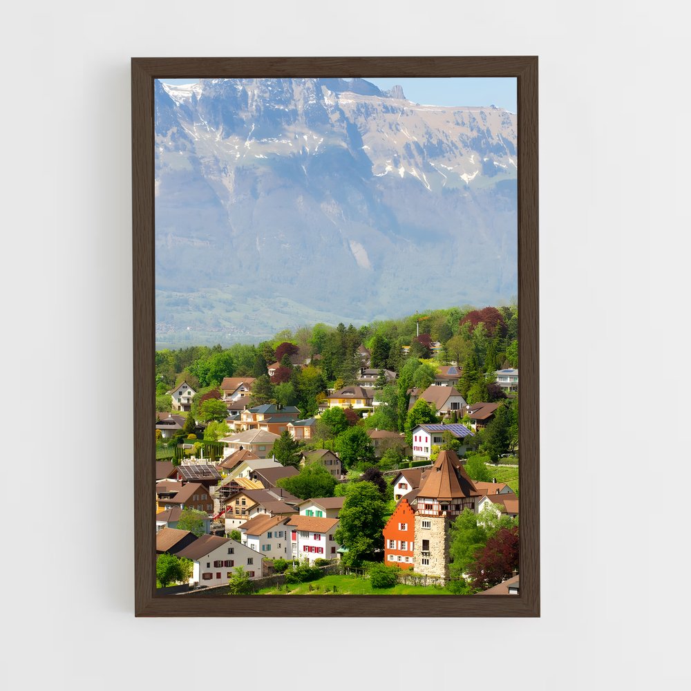 ap-vaduz-1 cadre Bois foncé