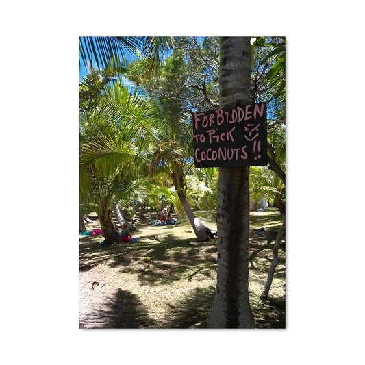 Poster Noix Interdite