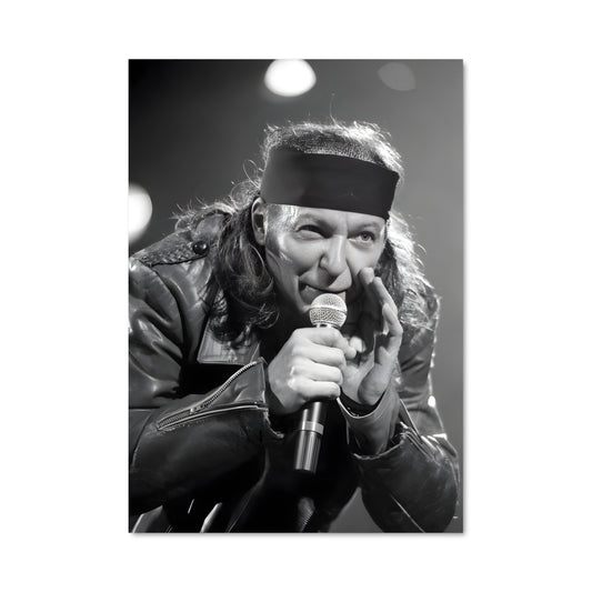 Poster Vasco en Concert