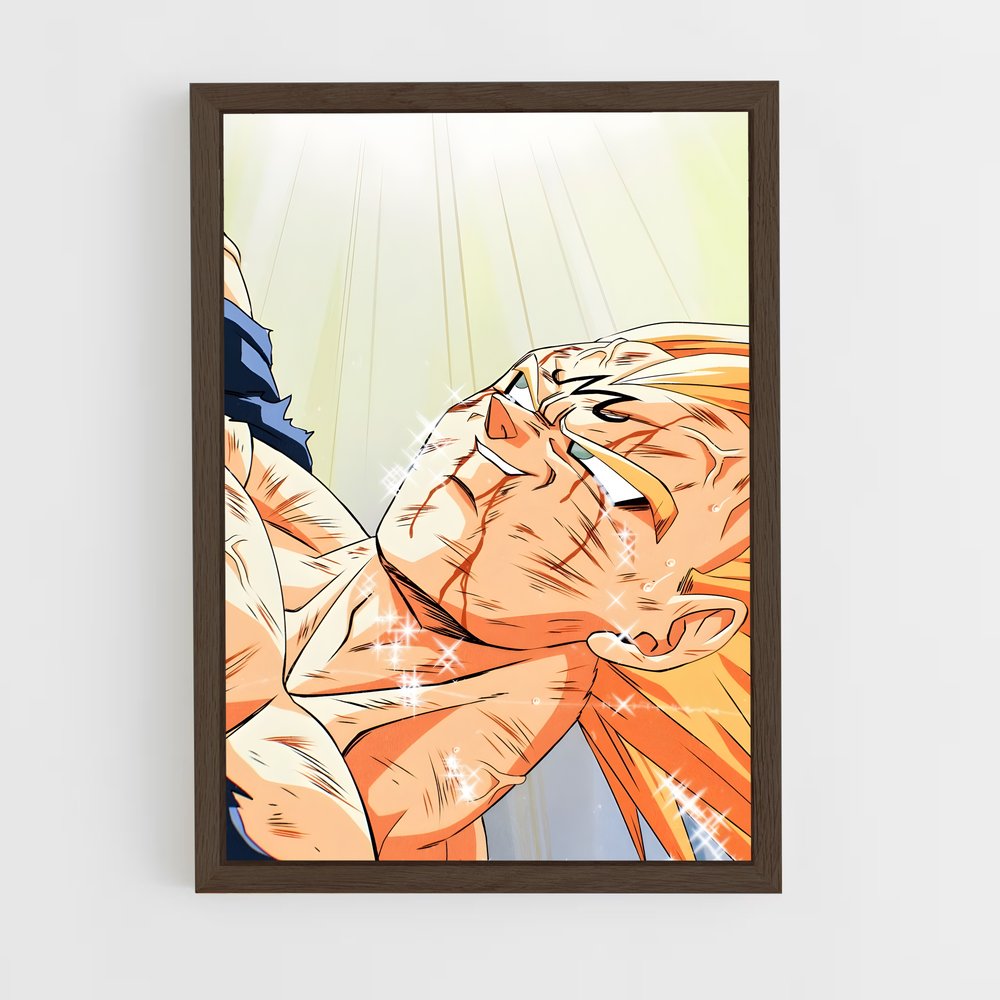 ap-vegeta-14 cadre Bois foncé