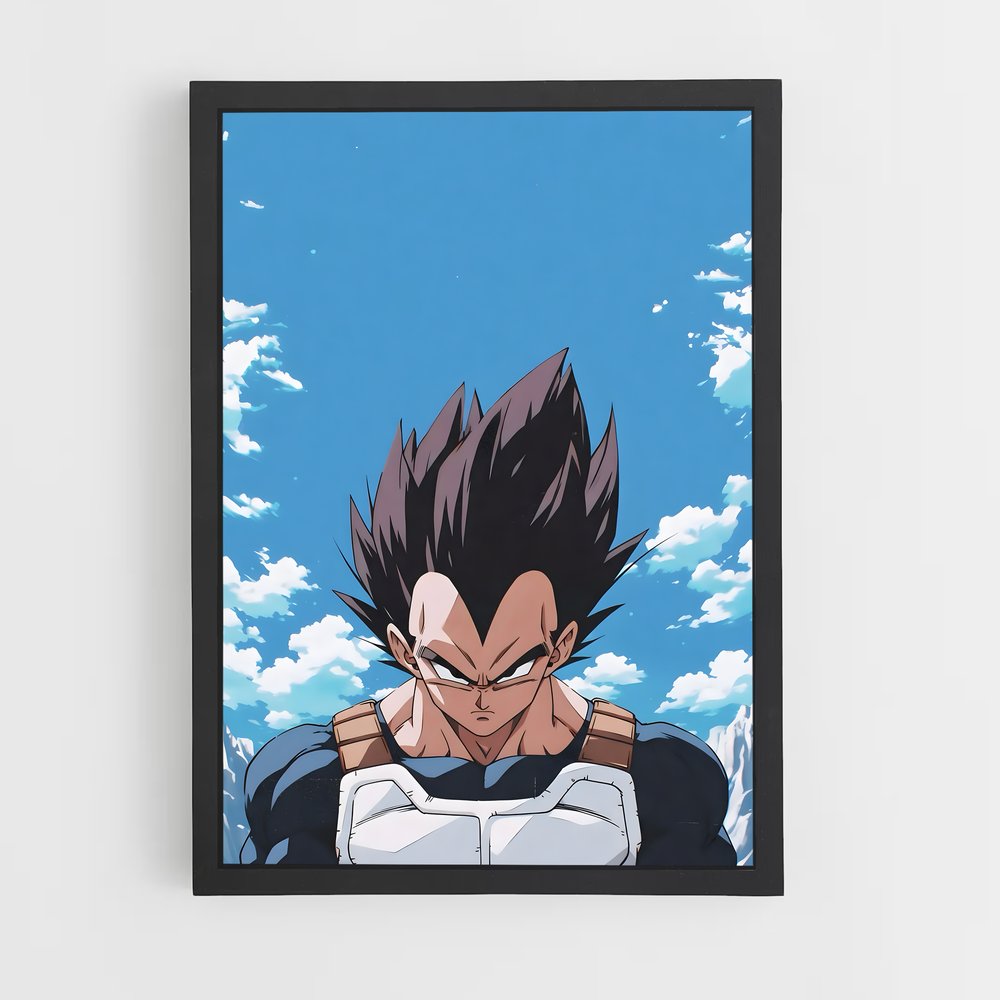 ap-vegeta-8 cadre Noir