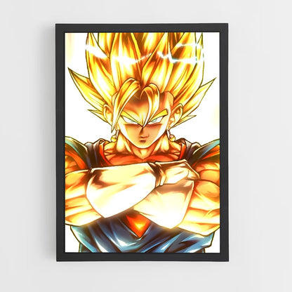 ap-vegito-5 cadre Noir