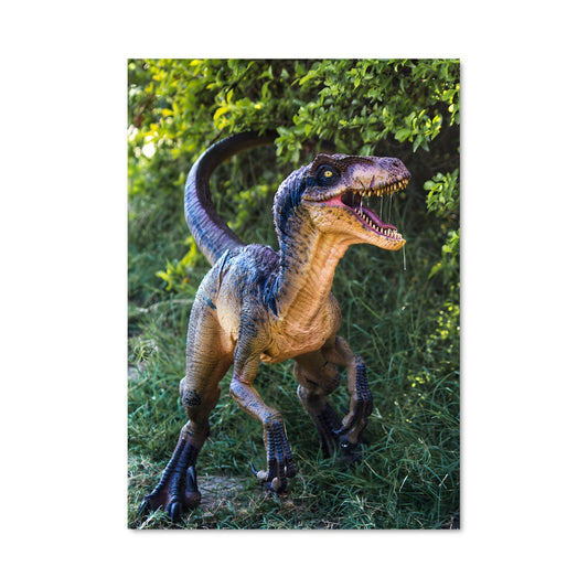 Poster Raptor en Herbe