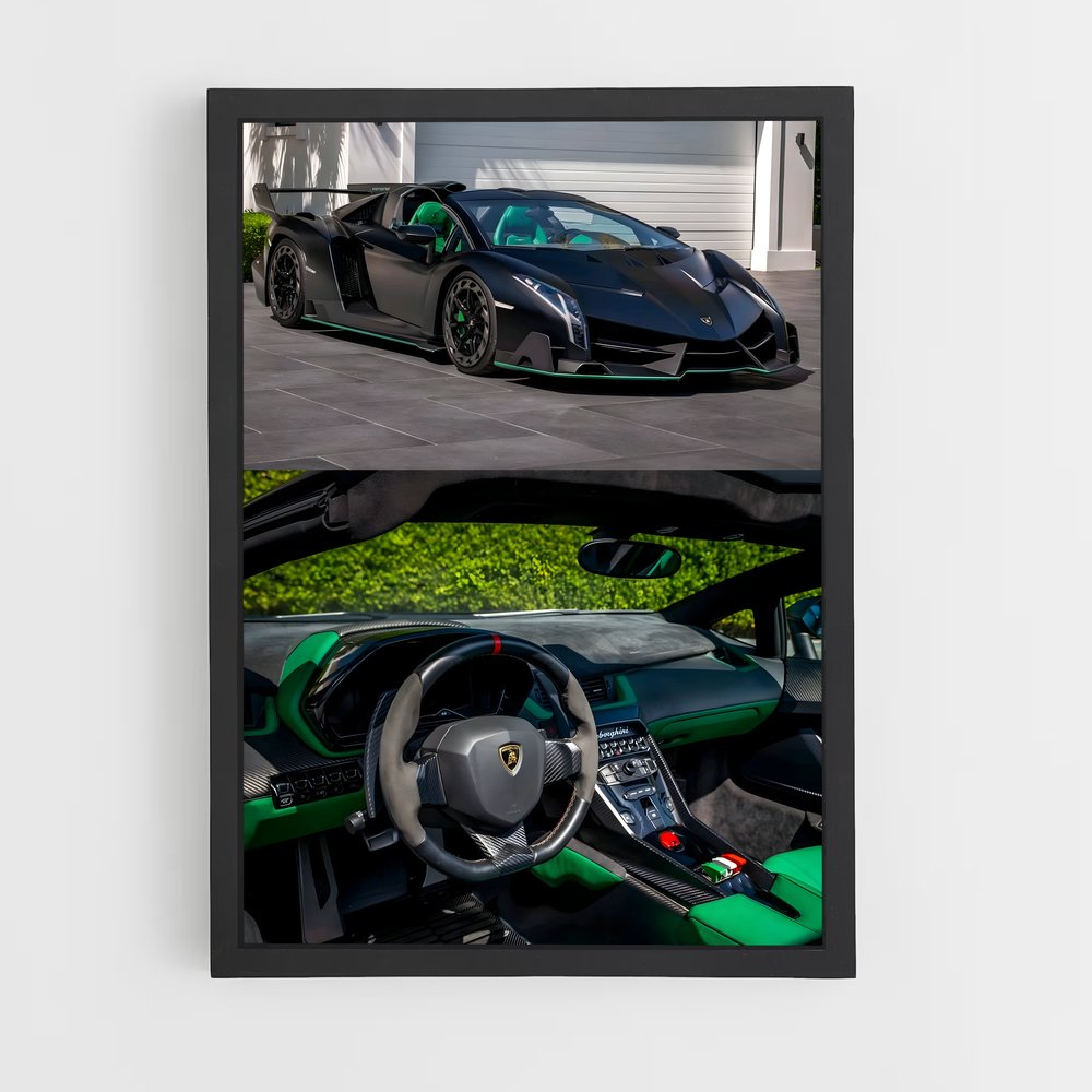 ap-veneno roadster-6 cadre Noir