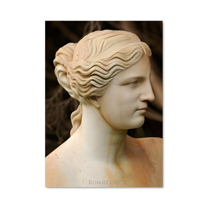 Poster Venus de milo 20235