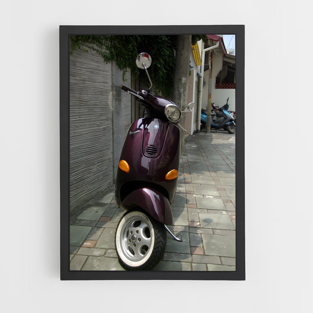 ap-vespa et2-3 cadre Noir