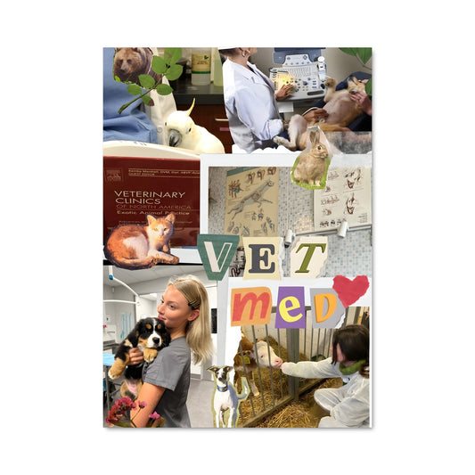 Poster Veterinarian 5422