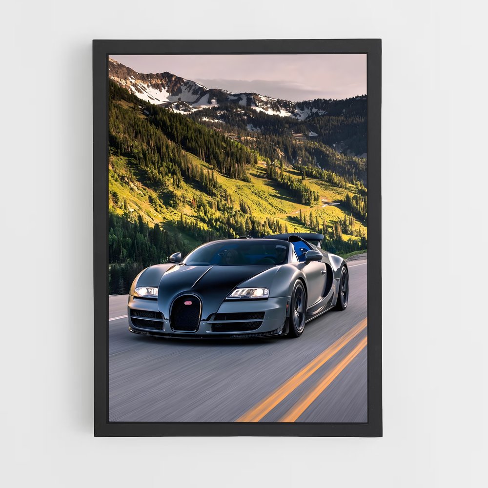 ap-veyron-2 cadre Noir
