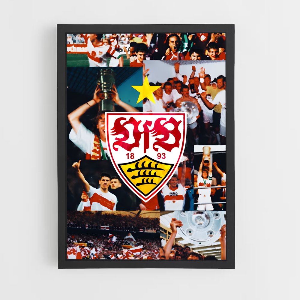 ap-vfb stuttgart-1 cadre Noir