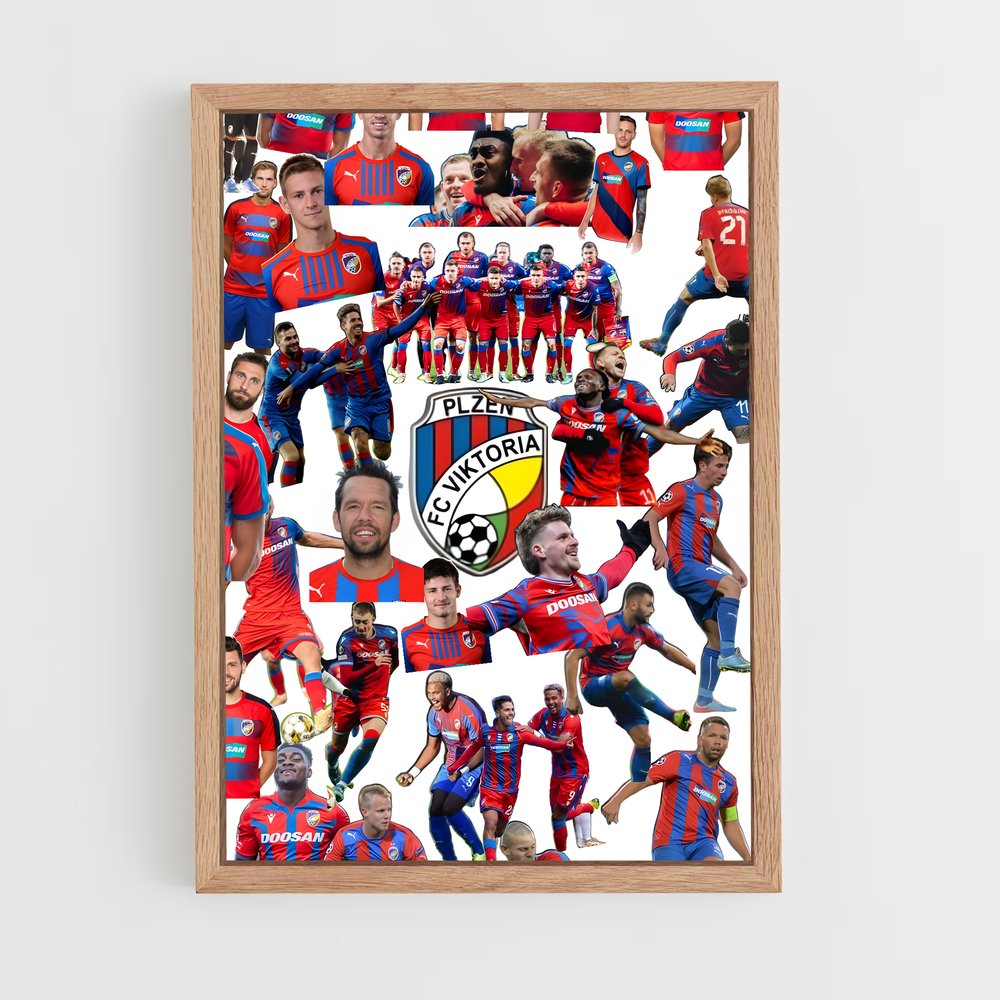 ap-viktoria plzen-2 cadre Bois clair