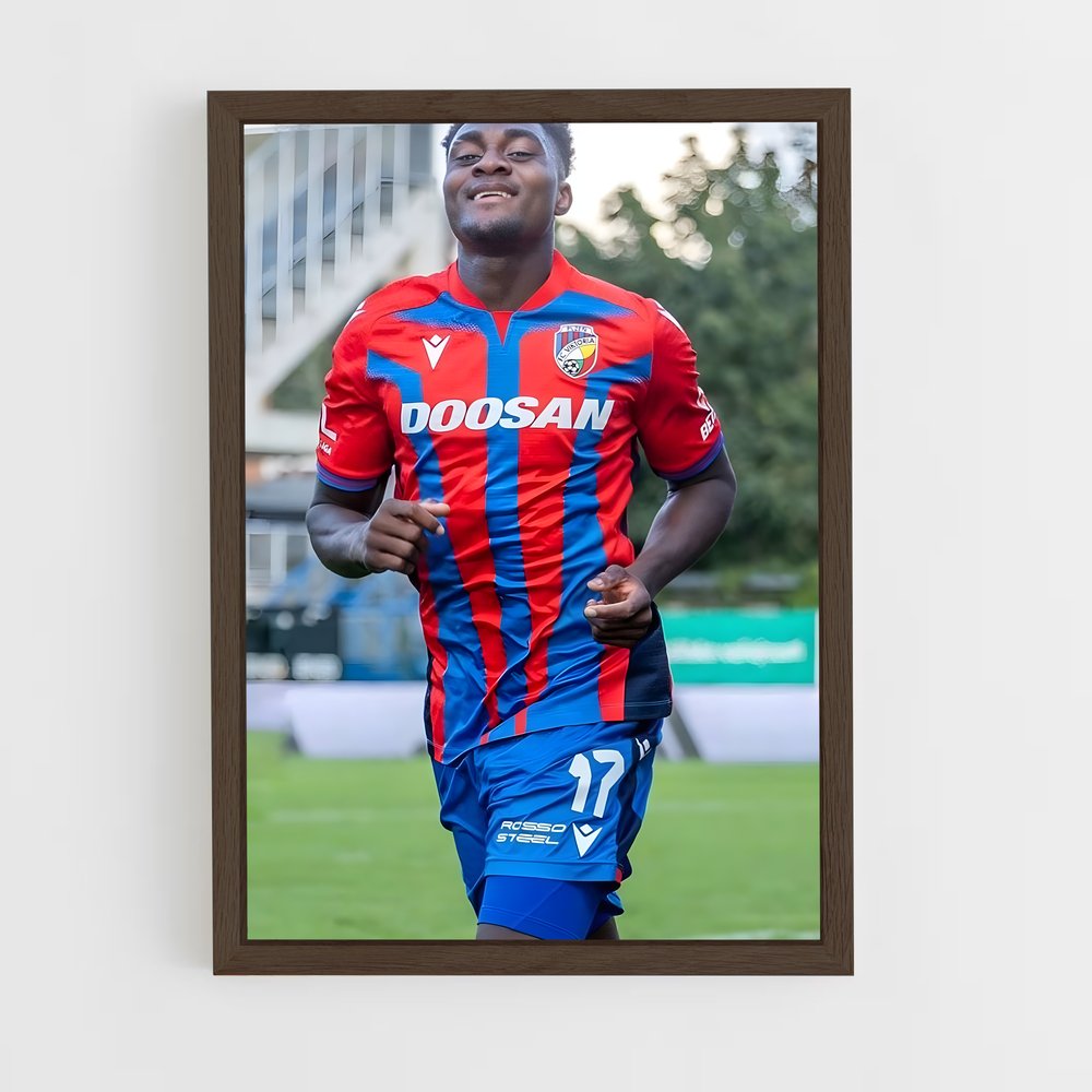 ap-viktoria plzen-5 cadre Bois foncé