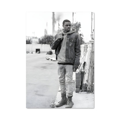 Poster Vince staples 54686