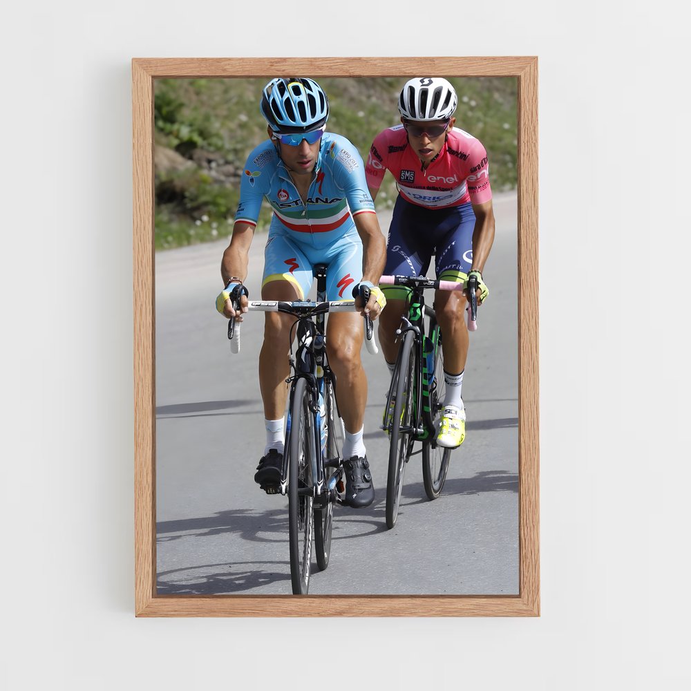 ap-vincenzo nibali-5 cadre Bois clair