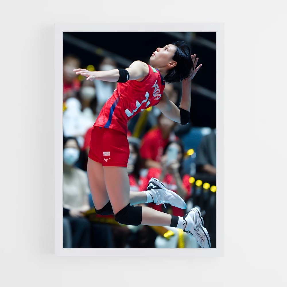 ap-volleyball nations league-5 cadre Blanc