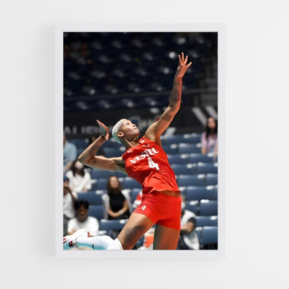 ap-volleyball world cup-7 cadre Blanc