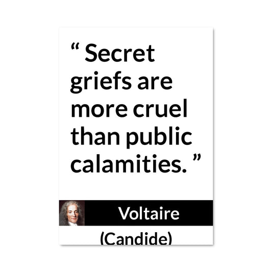 Poster Secret de Voltaire