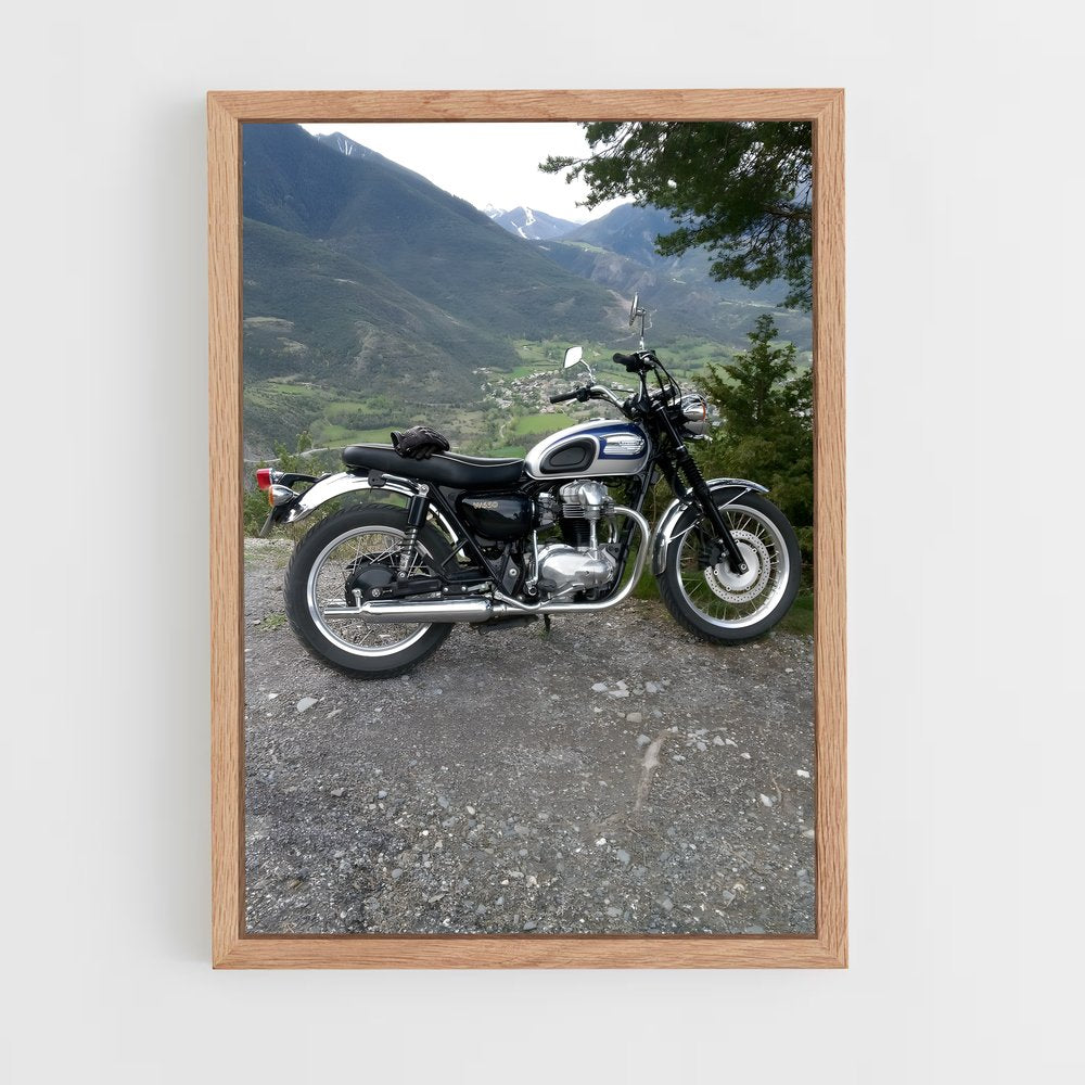 ap-w650-4 cadre Bois clair