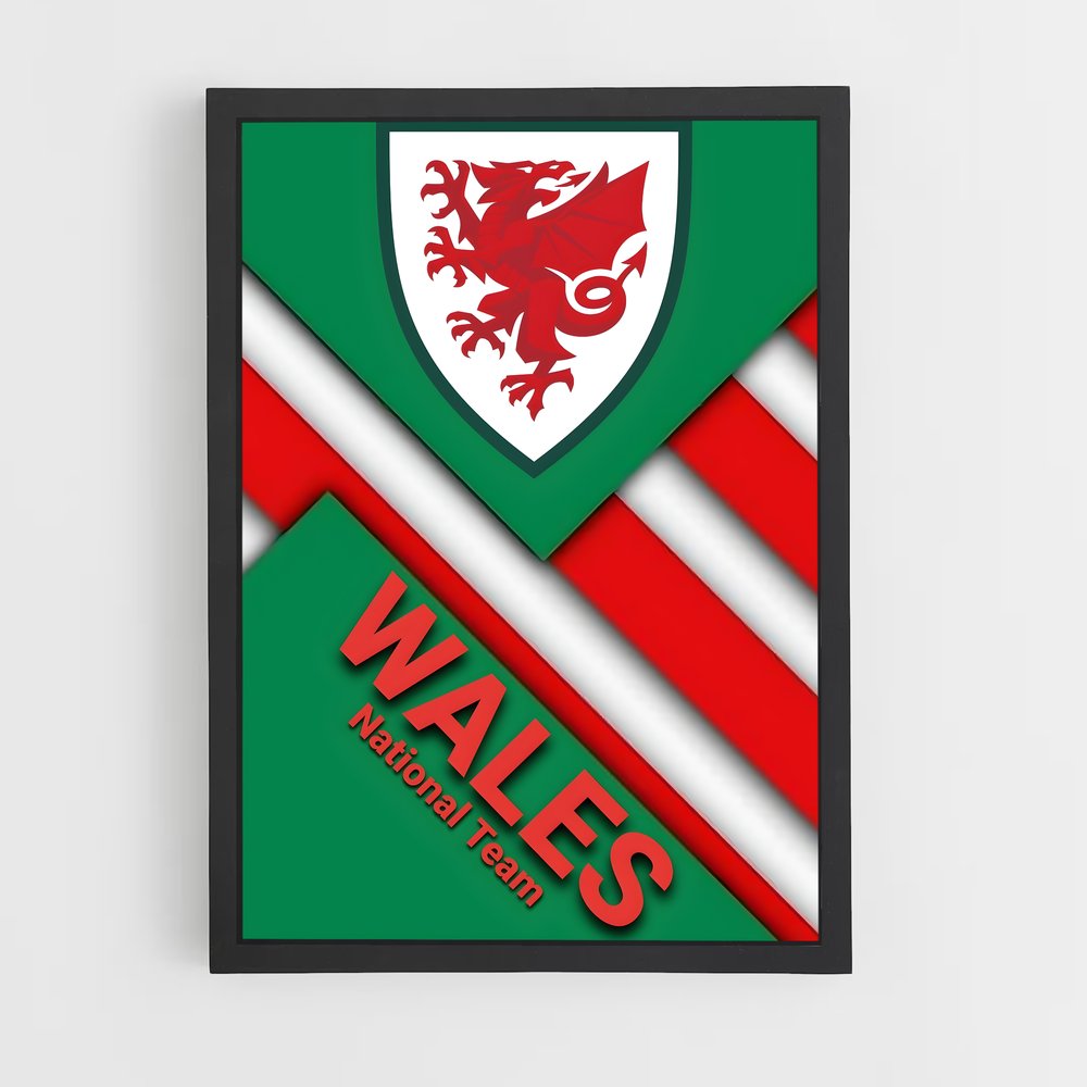 ap-wales national football team-1 cadre Noir
