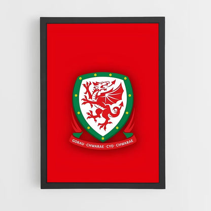 ap-wales national football team-6 cadre Noir