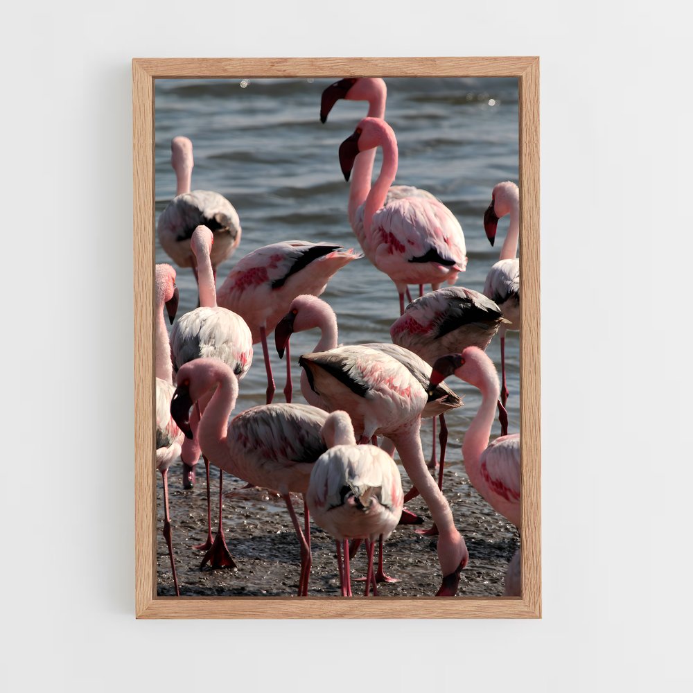 ap-walvis bay-4 cadre Bois clair
