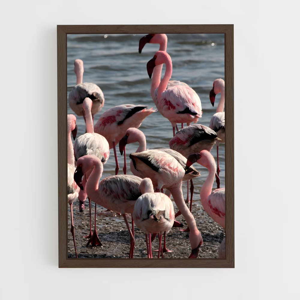 ap-walvis bay-4 cadre Bois foncé