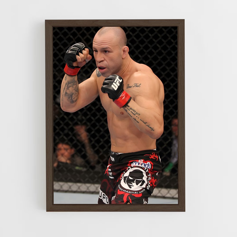 ap-wanderlei silva-1 cadre Bois foncé