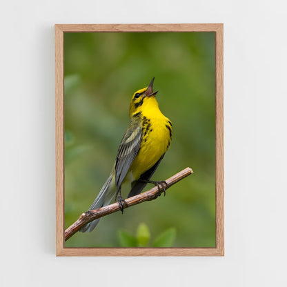 ap-warbler-1 cadre Bois clair