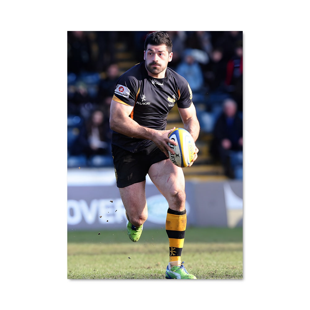 Poster Wasps 74873