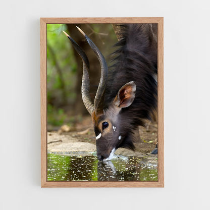 ap-waterbuck-3 cadre Bois clair