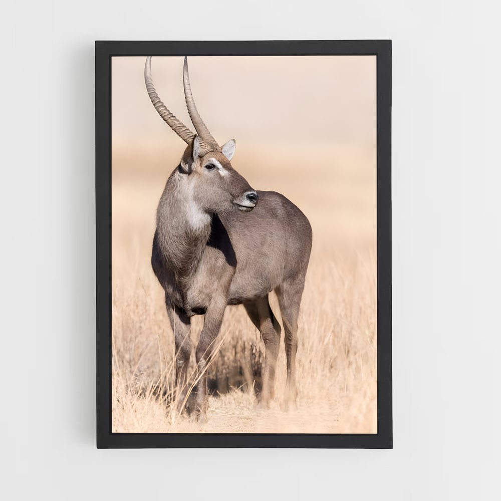 ap-waterbuck-5 cadre Noir