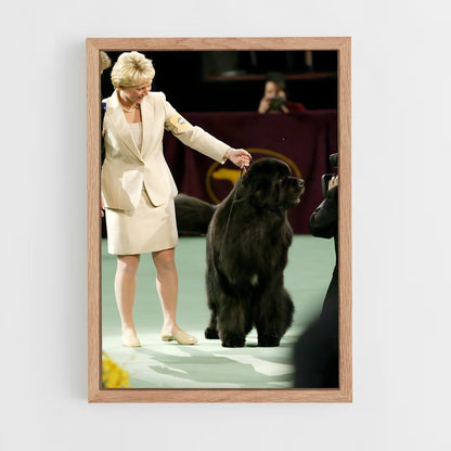 ap-westminster dog show-3 cadre Bois clair