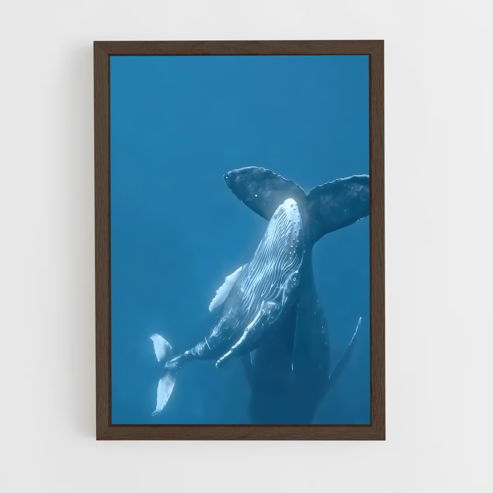ap-whale-1 cadre Bois foncé