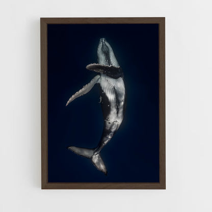 ap-whale-4 cadre Bois foncé