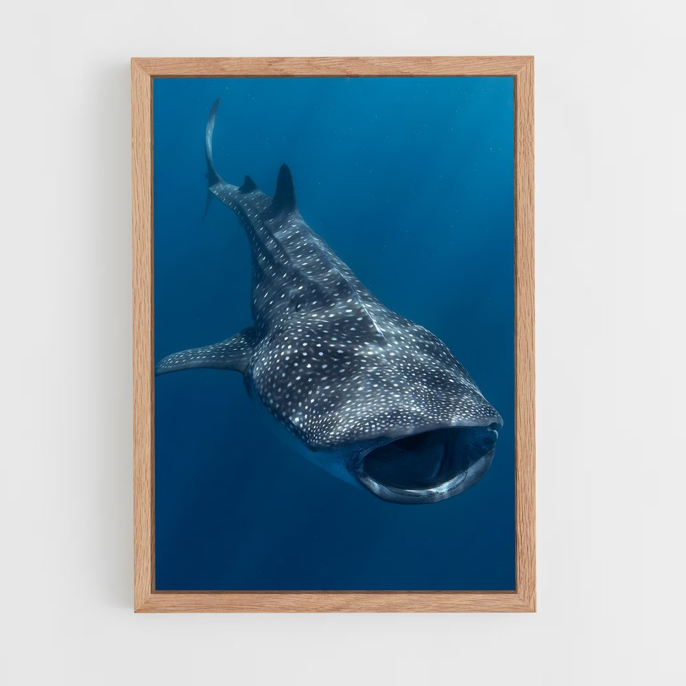 ap-whale shark-4 cadre Bois clair