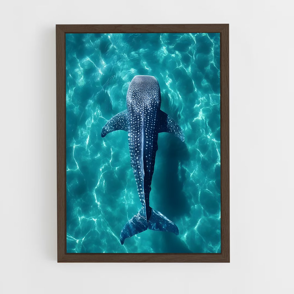 ap-whale shark-5 cadre Bois foncé