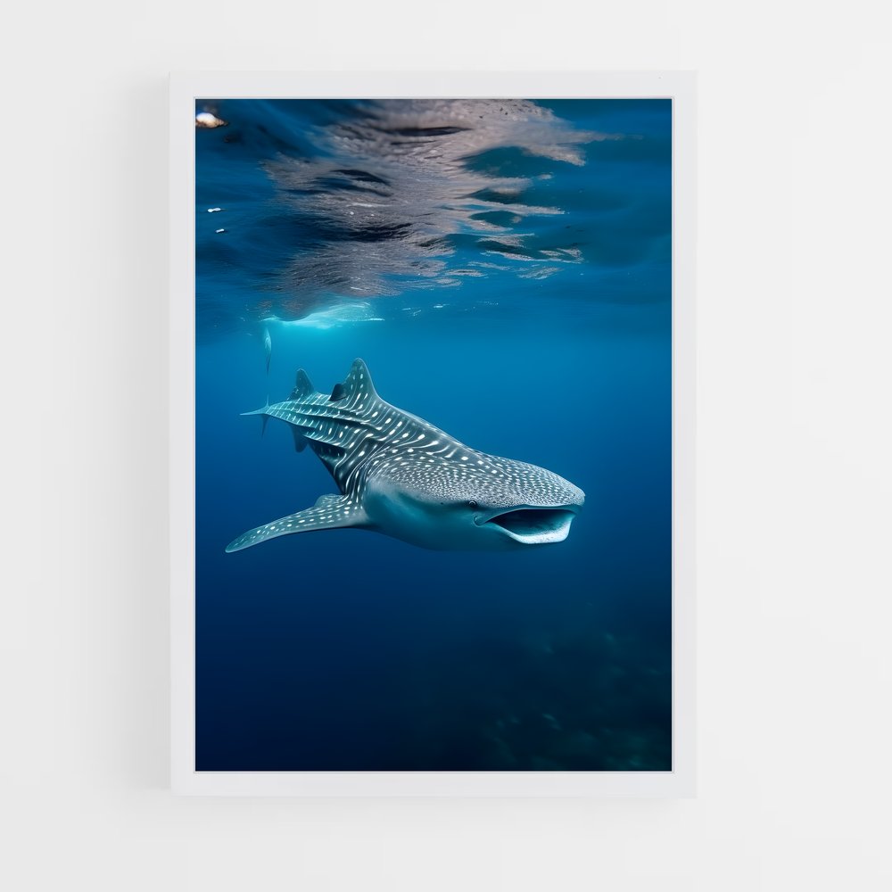 ap-whale shark-6 cadre Blanc