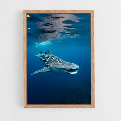 ap-whale shark-6 cadre Bois clair
