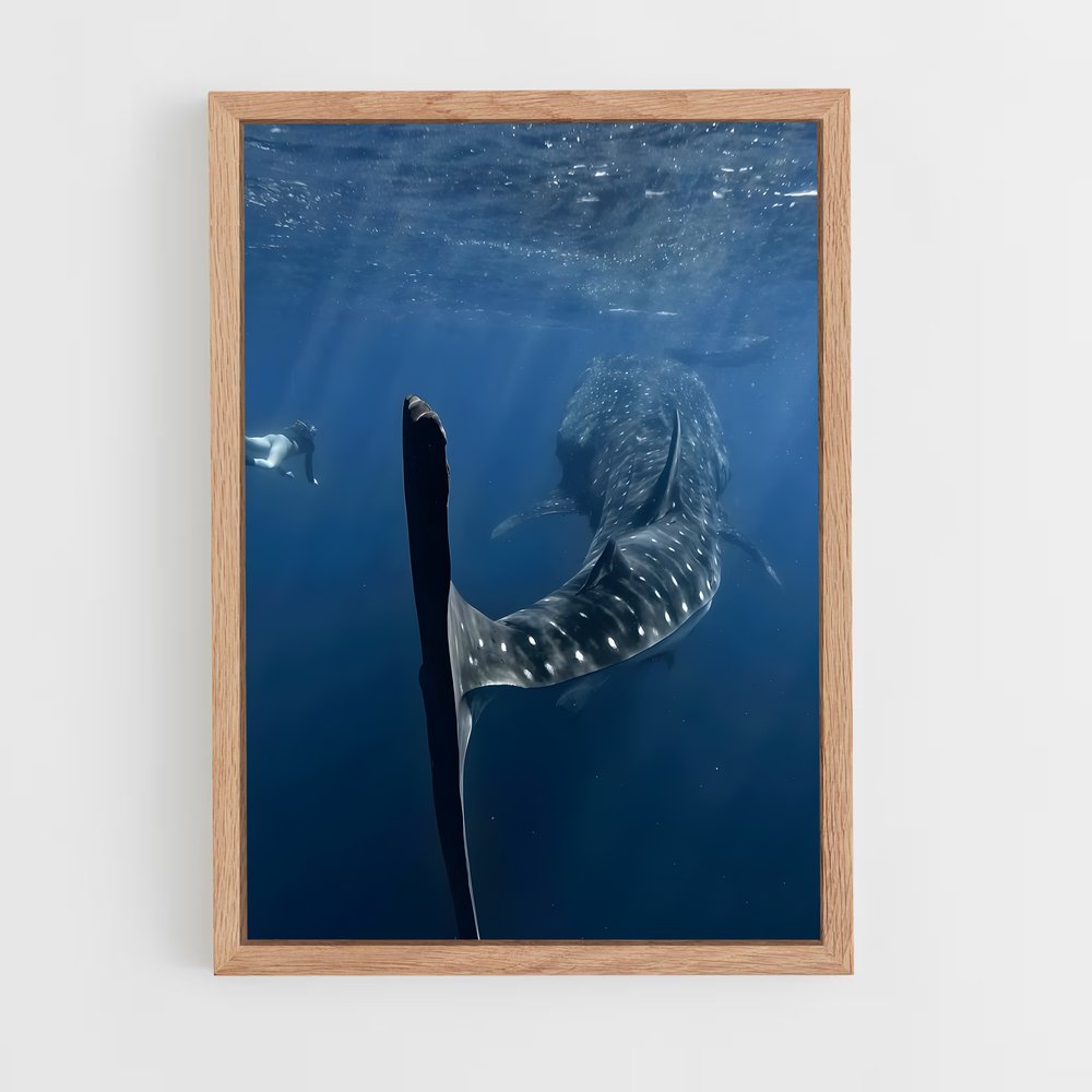 ap-whale shark-7 cadre Bois clair